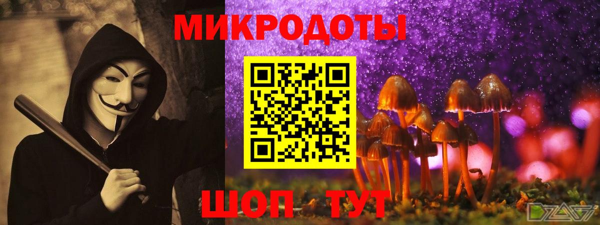 Южноуральск  Псилоцибиновые грибы ЛСД  Галлюциногенные грибы Psilocybe  Вход с VPN 