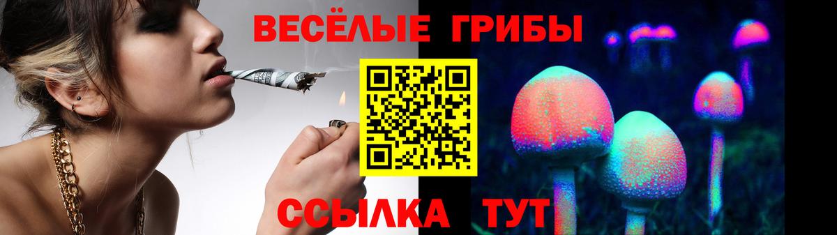 Псилоцибиновые грибы Psilocybe Южноуральск